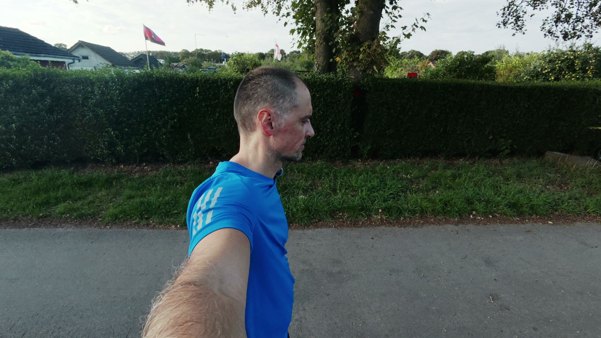 Elvid läuft auf einem Weg an einer Hecke entlang